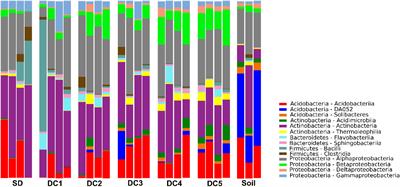 Wood Decay Characteristics and Interspecific Interactions Control Bacterial Community Succession in Populus grandidentata (Bigtooth Aspen)